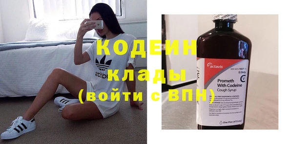 шишки Богородицк