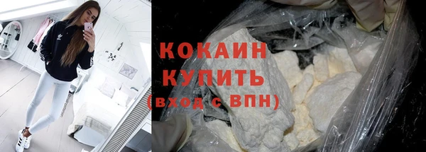 шишки Богородицк