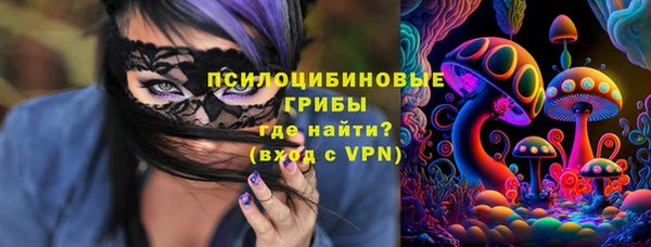 шишки Богородицк