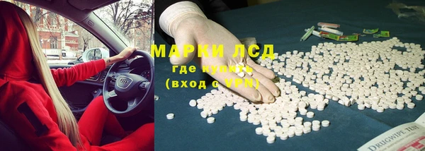 шишки Богородицк