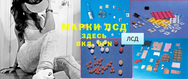 шишки Богородицк