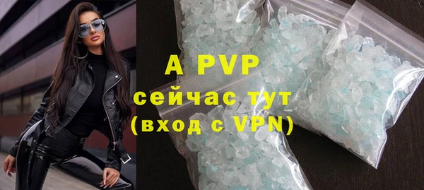 шишки Богородицк